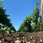 Masseria Spinale Wine Hotel *