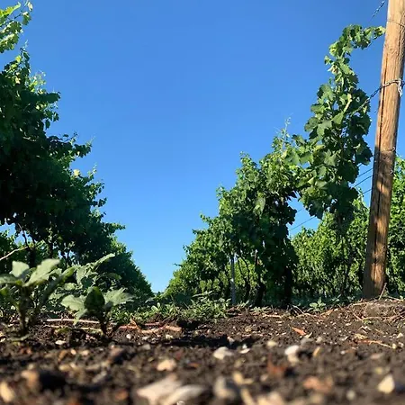Masseria Spinale Wine Szálloda *