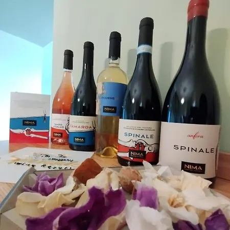 Masseria Spinale Wine