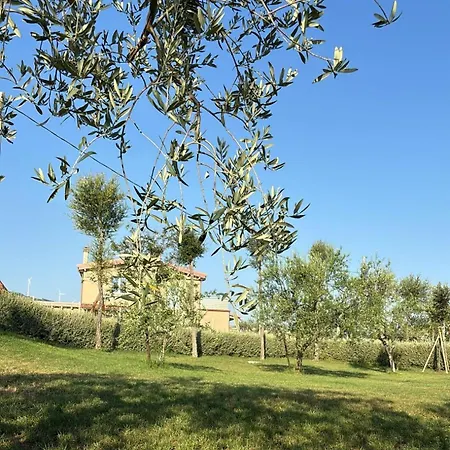 Hotel Masseria Spinale Wine