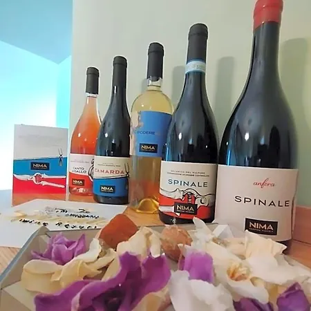 Hotel Masseria Spinale Wine Melfi
