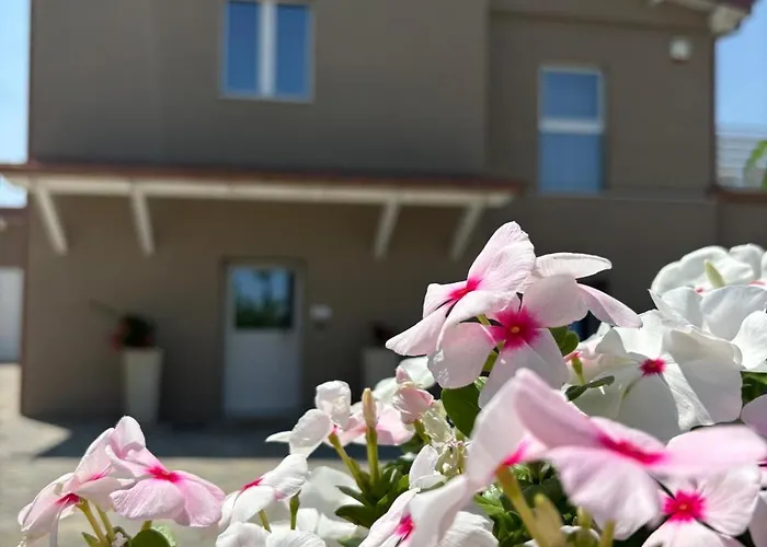 Hotell Masseria Spinale Wine