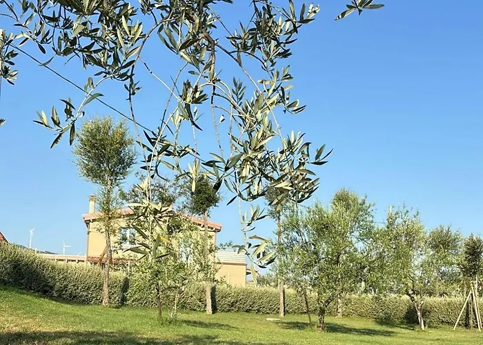 Hotell Masseria Spinale Wine